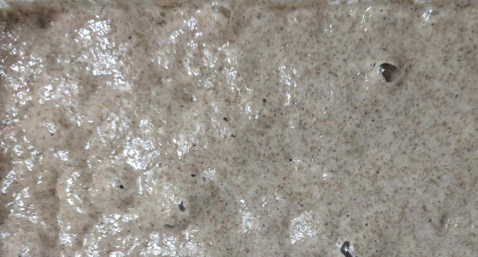 What Is Fed vs Unfed Sourdough Starter?