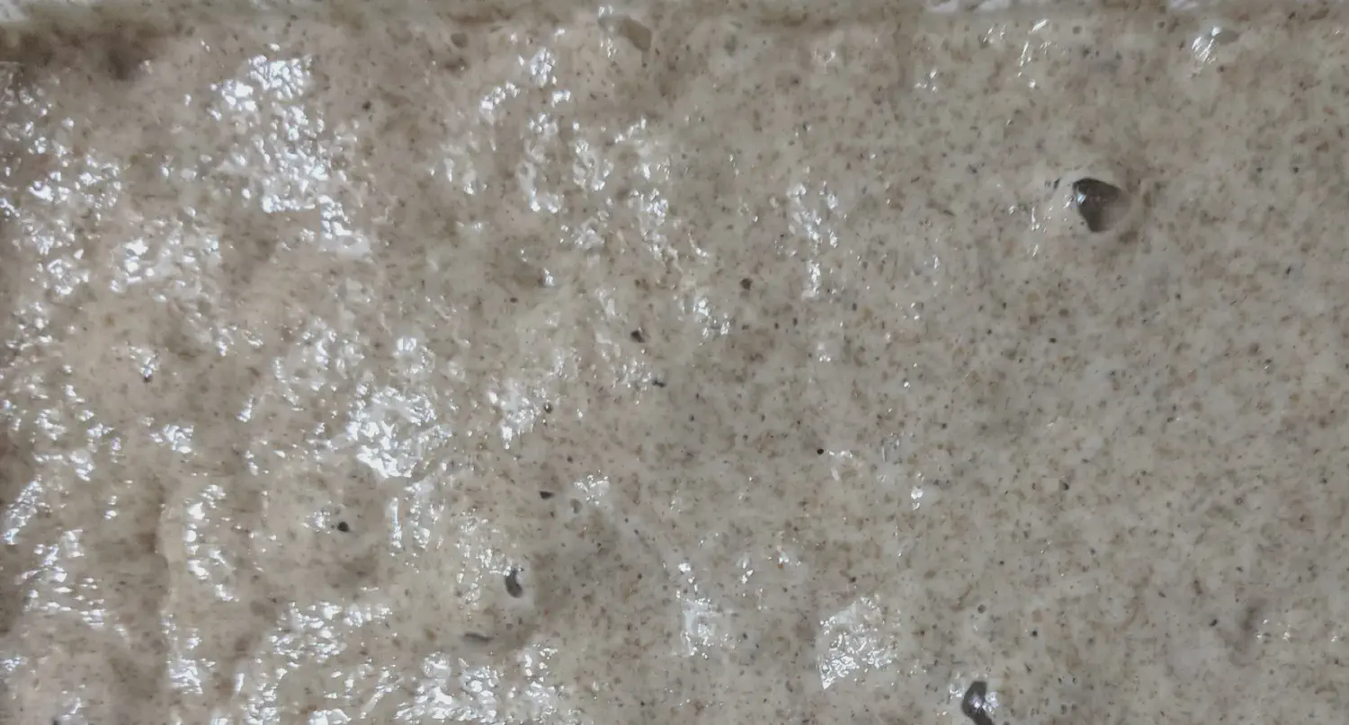 What Is Fed vs Unfed Sourdough Starter?